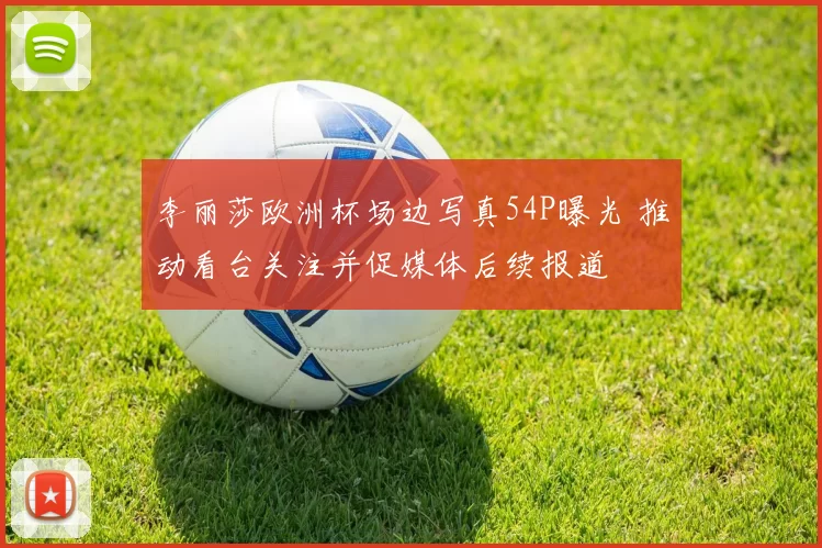 李丽莎欧洲杯场边写真54P曝光 推动看台关注并促媒体后续报道