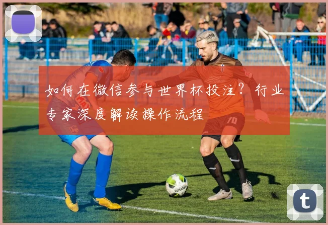 如何在微信参与世界杯投注？行业专家深度解读操作流程