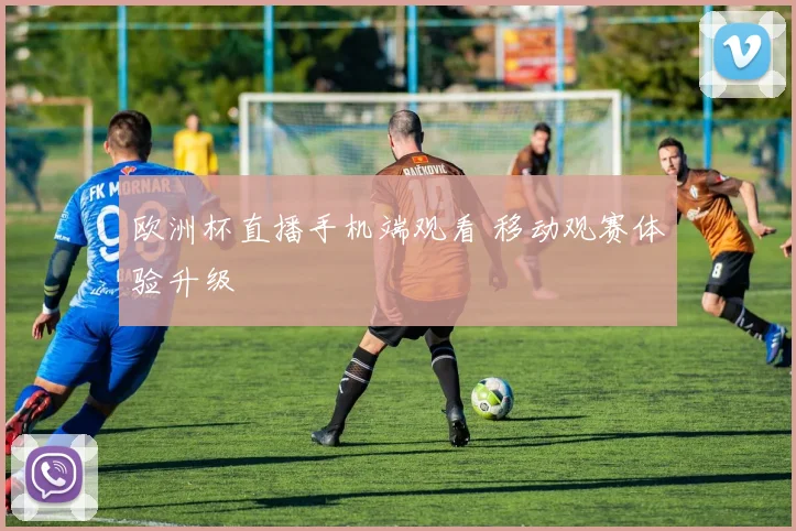欧洲杯直播手机端观看 移动观赛体验升级